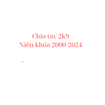 Chia tay 2k9 niên khóa 2000-2024 lớp 9